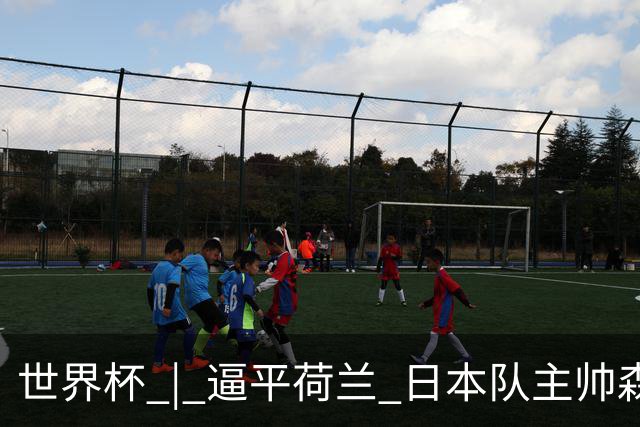 世界杯 | 逼平荷兰 日本队主帅森保一仍不满意
